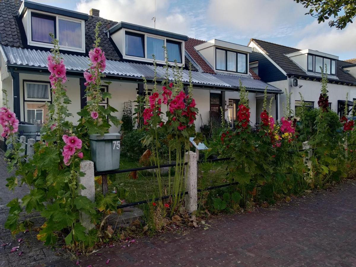 B&B Txl De Cocksdorp  Esterno foto