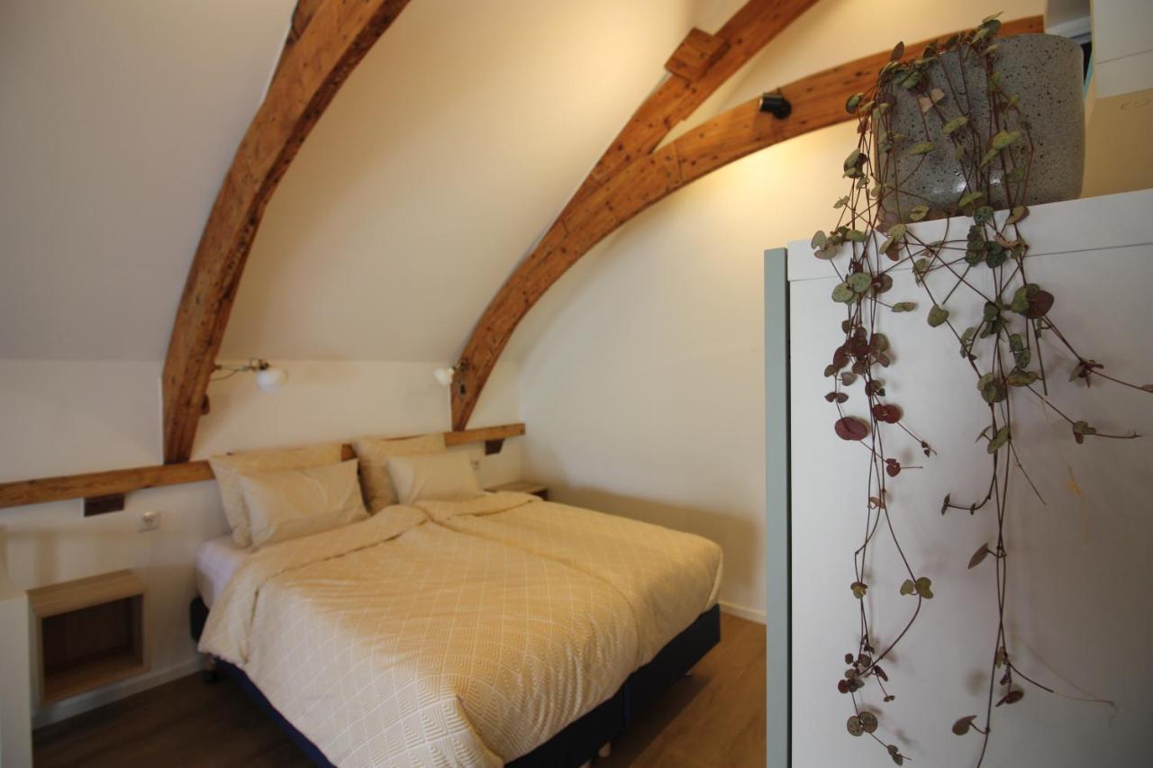 B&B Txl De Cocksdorp  Esterno foto